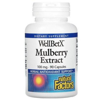 Natural Factors, WellBetX, Mulberry Extract, 100 mg, 90 Capsules