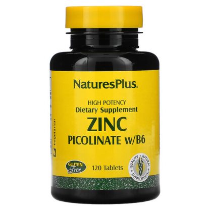 NaturesPlus, Zinc Picolinate w/B-6, 120 Tablets