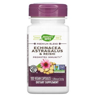 Nature's Way, Echinacea Astragalus & Reishi, 400 mg, 100 Vegan Capsules