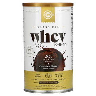 Solgar, Whey To Go, Whey Protein Powder, Chocolate, 16 oz (455 g)