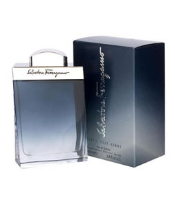 SALVATORE FERRAGAMO SUBTIL EDT FOR MEN