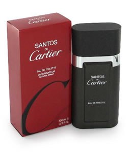 santos de cartier watch diamonds