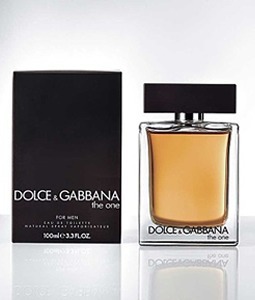 dolce gabbana the one for men
