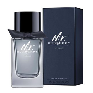 BURBERRY MR BURBERRY INDIGO EDT FOR MEN