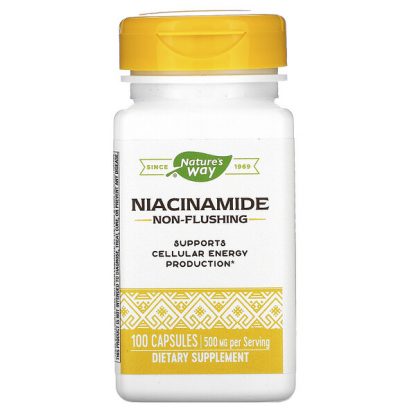 Nature's Way, Niacinamide, 500 mg, 100 Capsules