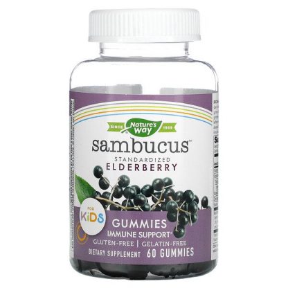 Nature's Way, Sambucus for Kids, Standardized Elderberry Gummies, 60 Gummies