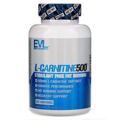 EVLution Nutrition, L-CARNITINE500, 120 Capsules