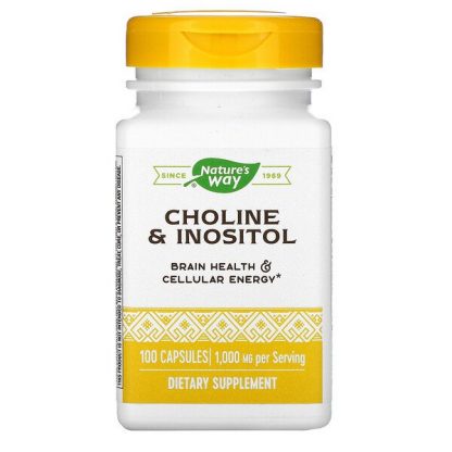 Nature's Way, Choline & Inositol, 500 mg, 100 Capsules