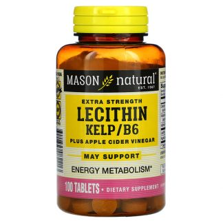 Mason Natural, Extra Strength Lecithin Kelp/B6 Plus Apple Cider Vinegar, 100 Tablets