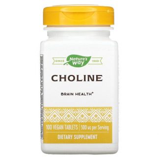 Nature's Way, Choline, 500 mg, 100 Vegan Tablets